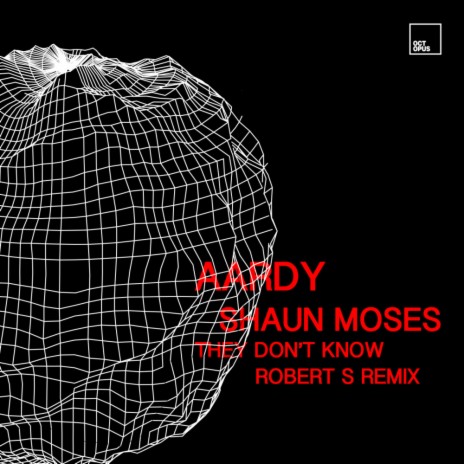 They Don't Know (Robert S Remix) ft. Shaun Moses