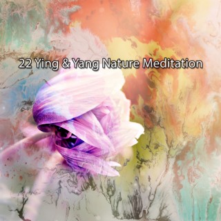 22 Ying & Yang Nature Meditation