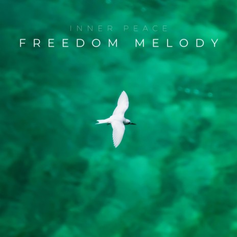 Freedom Melody (Long Version) | Boomplay Music