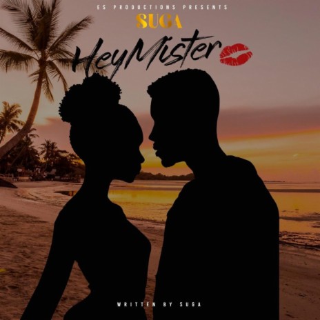 Hey Mister | Boomplay Music