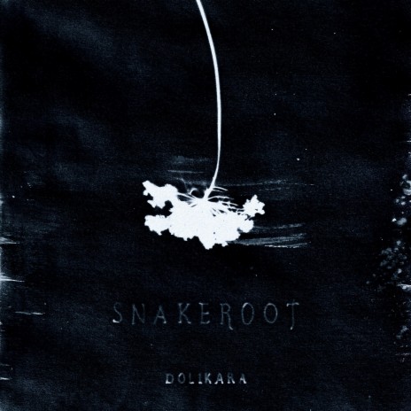 Snakeroot | Boomplay Music