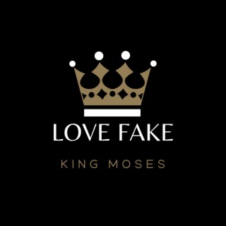 Love Fake