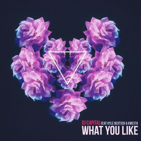 What You Like (feat. Kwesta & Kyle Deutsch) | Boomplay Music