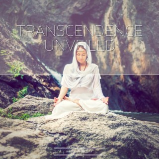 Transcendence Unveiled