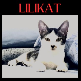 Lilikat