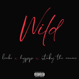 Wild ft. Sticky The Menace & Hyppszn lyrics | Boomplay Music