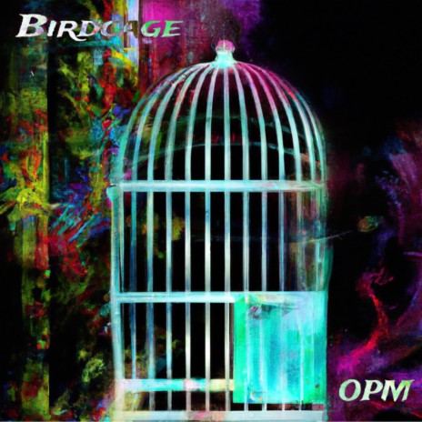 Birdcage ft. Darren Emerson | Boomplay Music