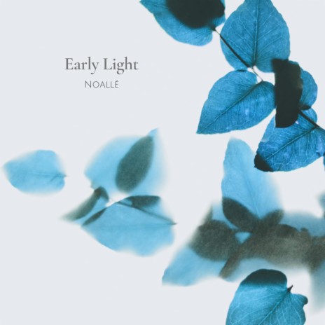 Early Light | Boomplay Music