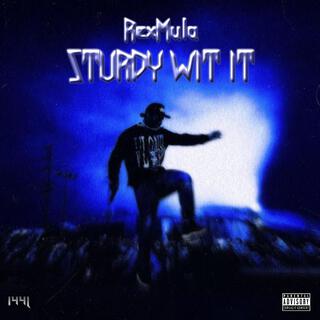 Sturdy Wit It lyrics | Boomplay Music