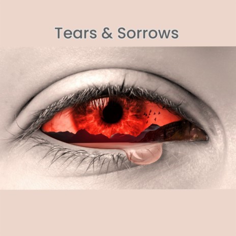 Tears & Sorrows ft. Viral Sound God | Boomplay Music
