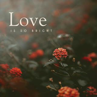 Love Is So Bright