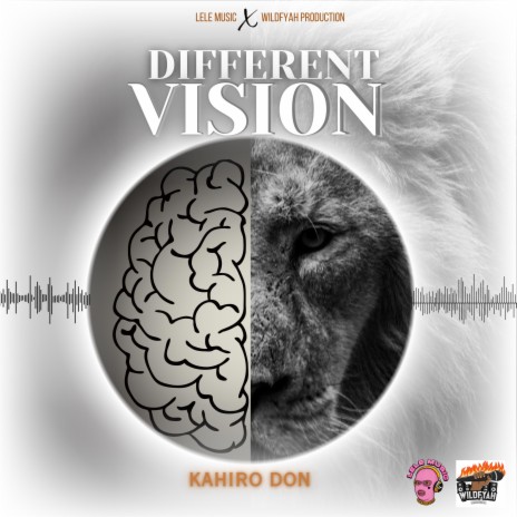 Different Vision | Boomplay Music