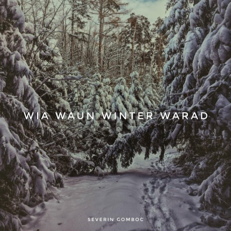 Wia waun Winter warad | Boomplay Music