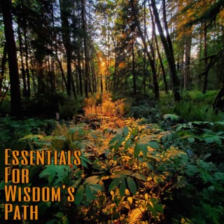 Essentials For Wisdom‘s Path II