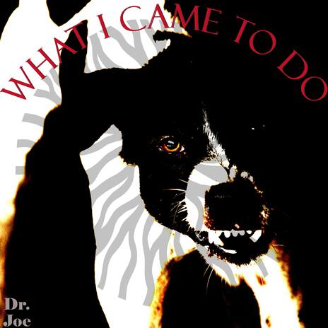 What I came to do | Boomplay Music