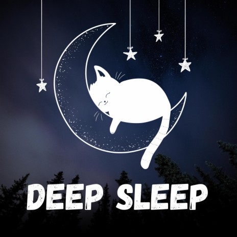 Deep Night Sleep | Boomplay Music