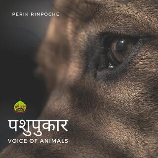 Pashu Pukar (The Voice of Animals)