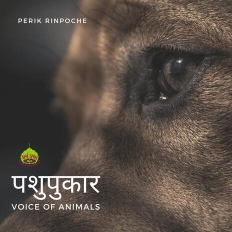 Pashu Pukar (The Voice of Animals) | Boomplay Music