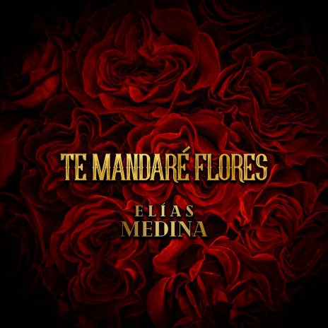 Te Mandaré Flores | Boomplay Music