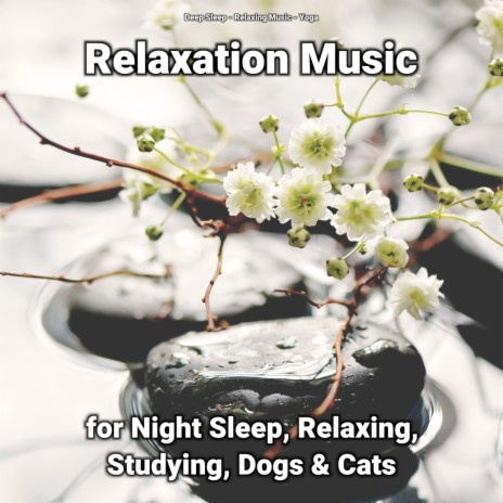 Relaxing Music for Deep Sleep ft. Relaxing Music & Deep Sleep | Boomplay Music