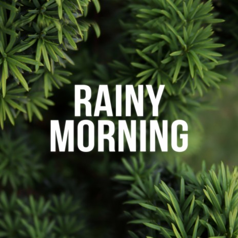 Light Rain For Relaxation | Boomplay Music