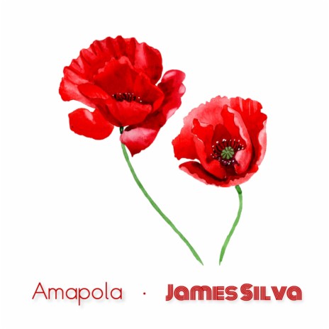 Amapola | Boomplay Music