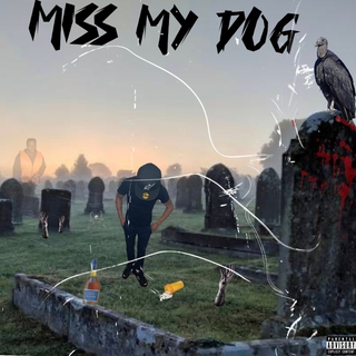 Miss my dog lyrics | Boomplay Music