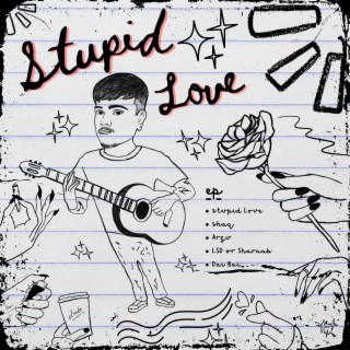 Stupid Love