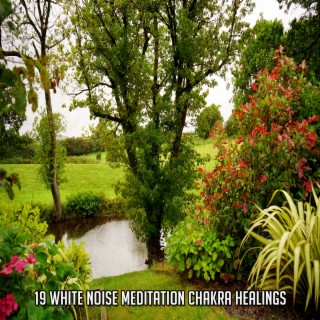 19 White Noise Meditation Chakra Healings