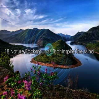 18 Nature Backgrounds That Inspire The Mind