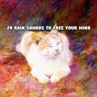 29 Rain Sounds To Free Your Mind