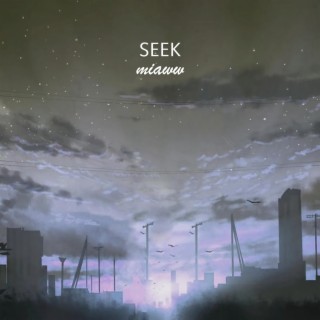 Seek | Boomplay Music