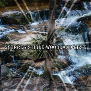 28 Irresistible Woodland Rest