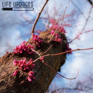 Life UPdates 4.0: UPdate to Skillful Living