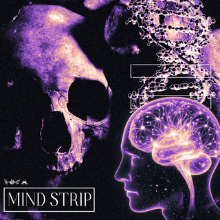 Mind Strip