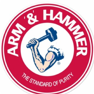 ARM '&' HAMMER