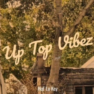 UP TOP VIBEZ:, Vol. 1