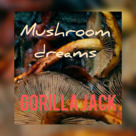Mushroom Dreams | Boomplay Music