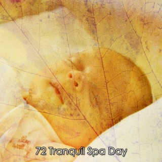 72 Tranquil Spa Day