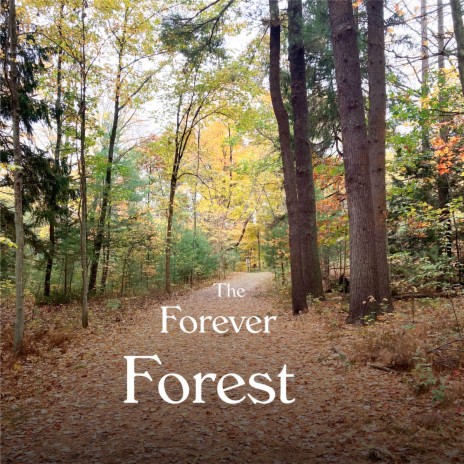 The Forever Forest | Boomplay Music