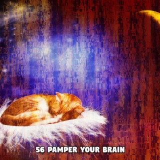 56 Pamper Your Brain