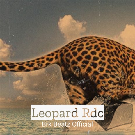 Leopard Rdc | Boomplay Music