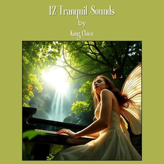 12 Tranquil Sounds