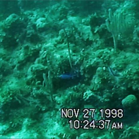 Dive video 1998 | Boomplay Music