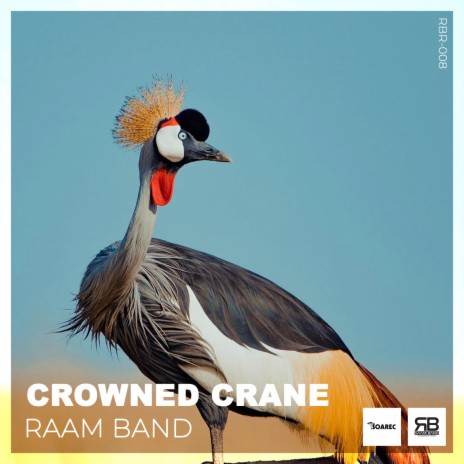 Crowned Crane (Original Mix) | Boomplay Music