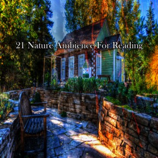 21 Nature Ambience For Reading