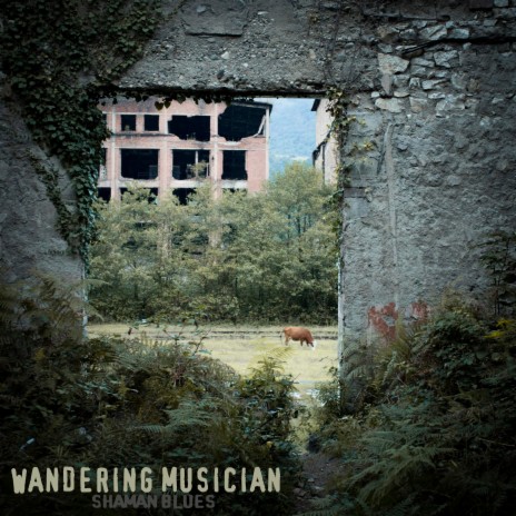 Wandering Musician | Boomplay Music