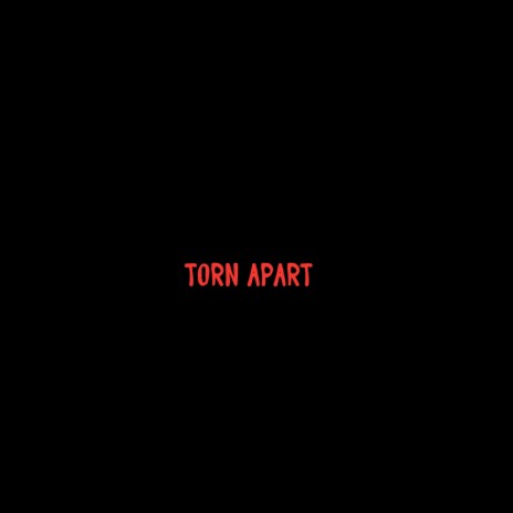 Torn Apart ft. Black Gypsy | Boomplay Music