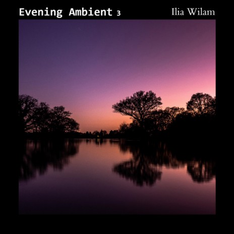 Evening Ambient 3 (excerpt) | Boomplay Music