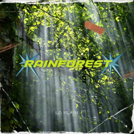 Rainforest